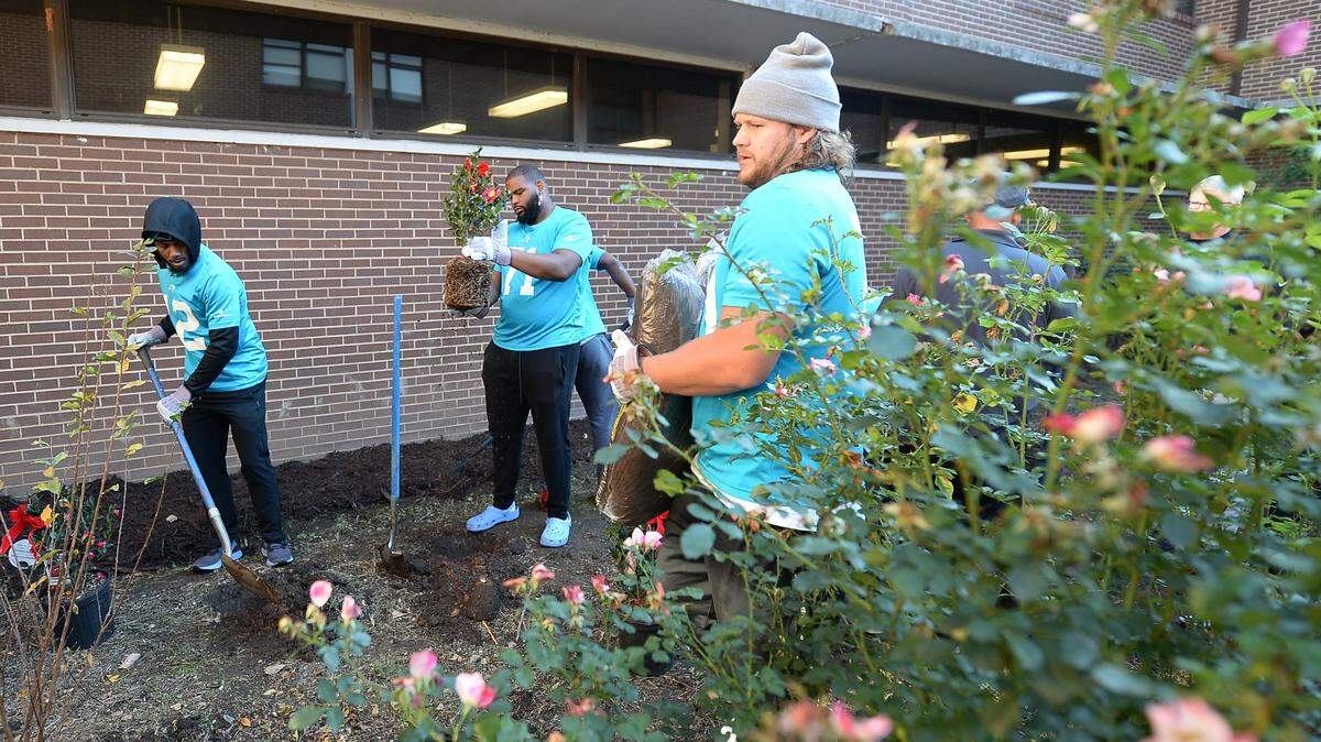 Carolina Panthers players plant and freshen up the rose garden area at Harding University in Charlotte, NC on Tuesday, November 16, 2021. The players joined team owner David Tepper and his wife, Nicole and coaches in an effort to help make improvements around the campus for students.