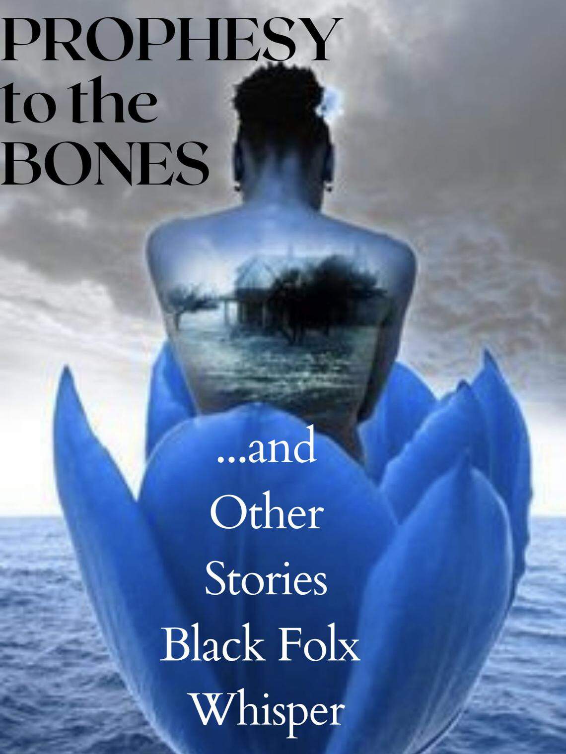 To gather stories for her play, Charlotte playwright Nichole M. Palmer spoke to a range of people around Davidson about their experiences.