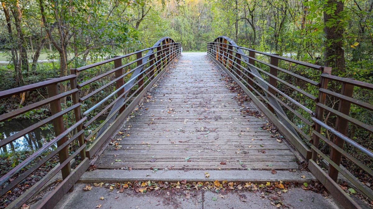 Beautiful bridges are scattered throughout Campbell Creek Greenway. This one connects pedestrians to McAlpine Creek Greenway. To get away from the election stress, go for a walk today if you can.