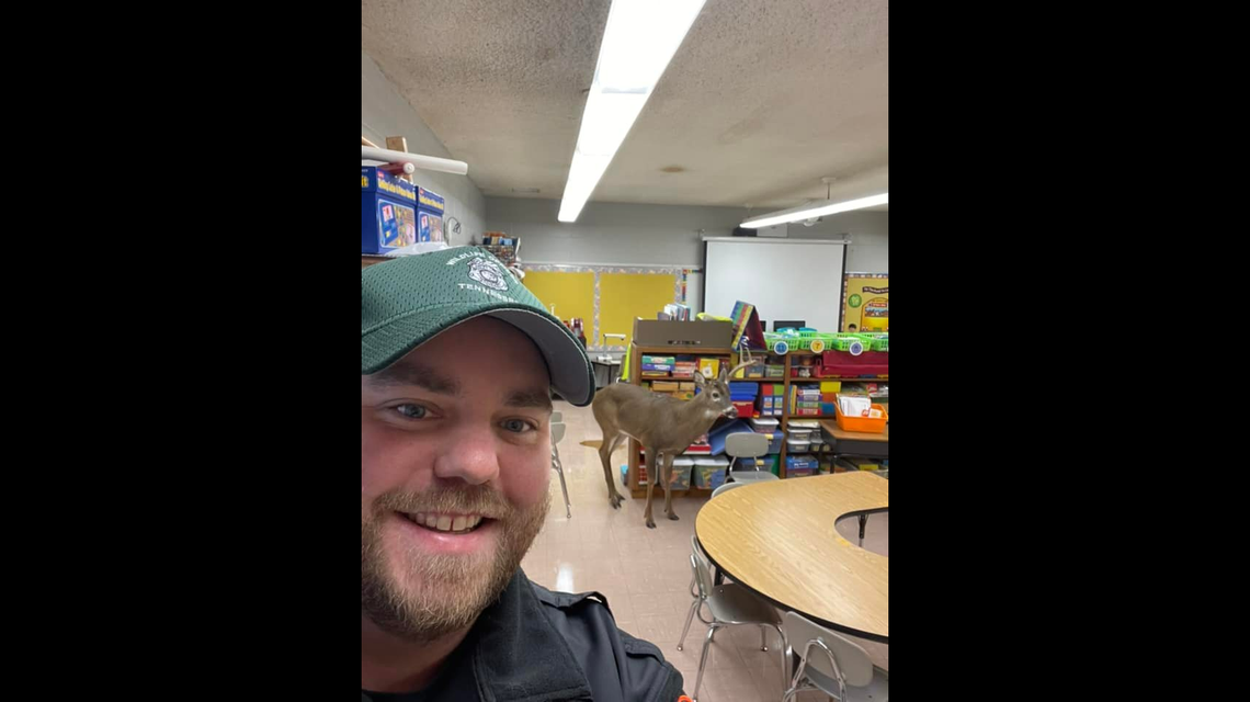 An officer with the Tennessee Wildlife Resources Agency was called in to remove a deer from an elementary school on Tuesday, Nov. 23.