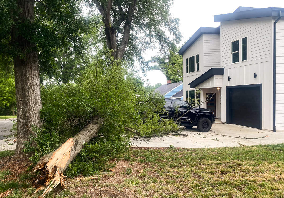 A tree fell into the driveway of a house on Phillips Avenue in South Charlotte after strong storms passed through the area on Friday afternoon.