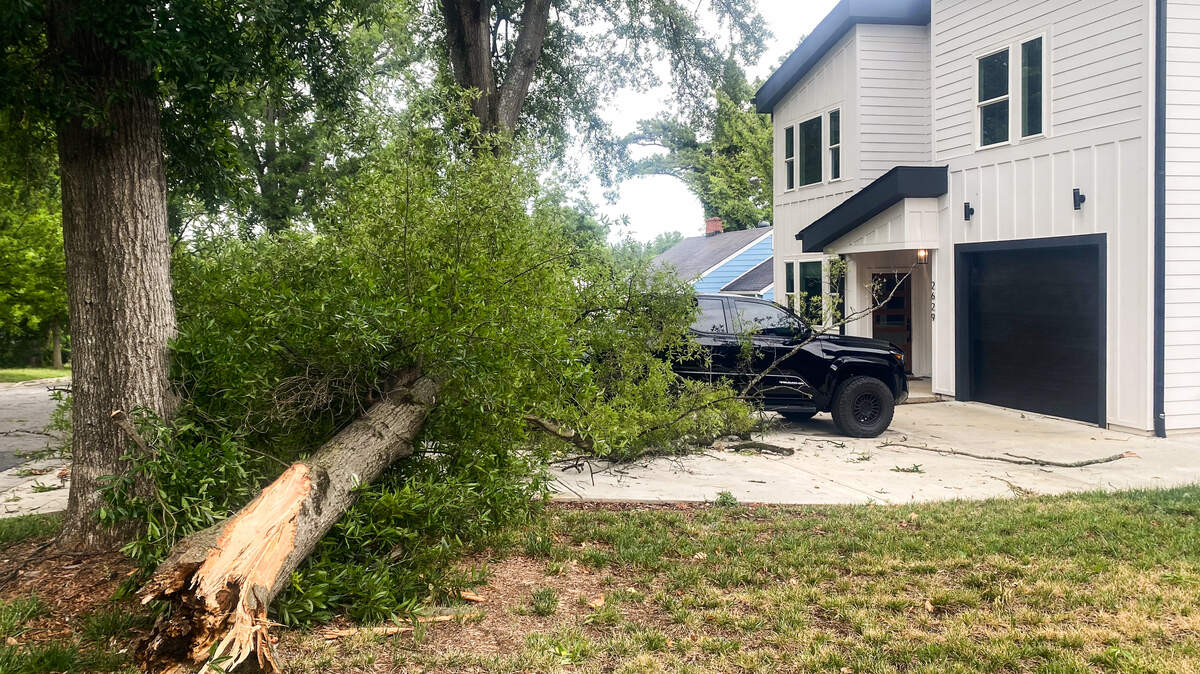 A tree fell into the driveway of a house on Phillips Avenue in South Charlotte after strong storms passed through the area on Friday afternoon.