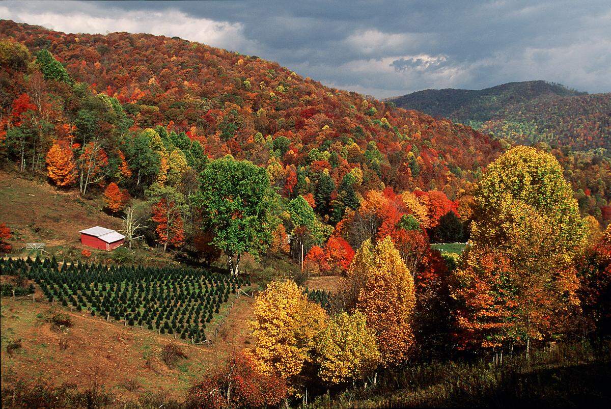 A fall scene near the community of Mabel in northwestern North Carolina.