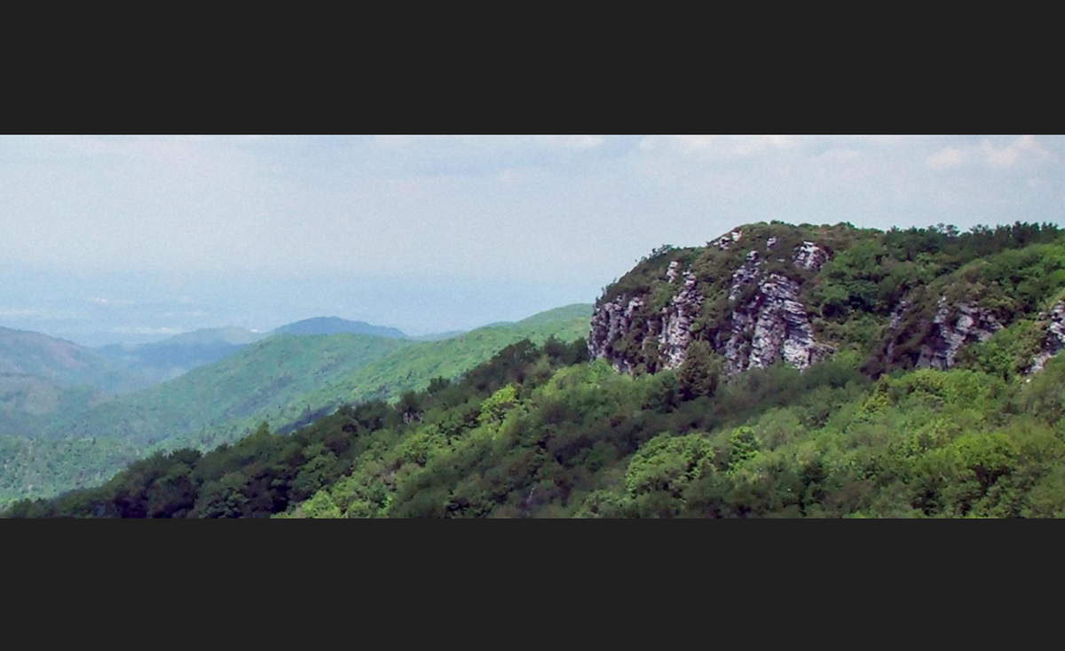 Most of the Sampson Mountain Wilderness “is remote backcountry,” according to the U.S. Department of Agriculture. The missing hiker was found in a ravine in the wilderness.