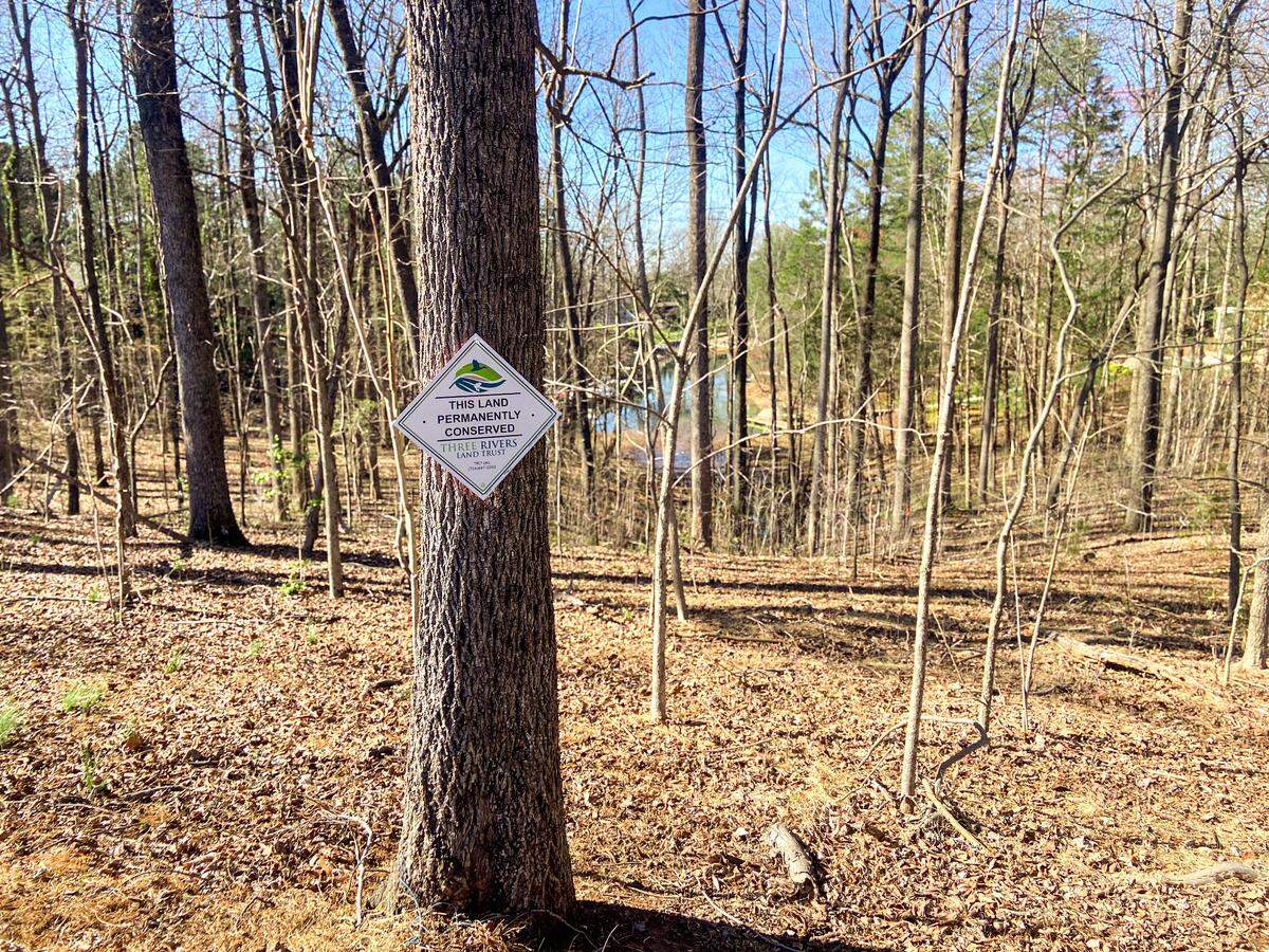 “A parcel over 10 acres is rare in this area, particularly waterfront properties with mature trees,” said Emily Callicutt, Three Rivers Land Trust director of conservation. 