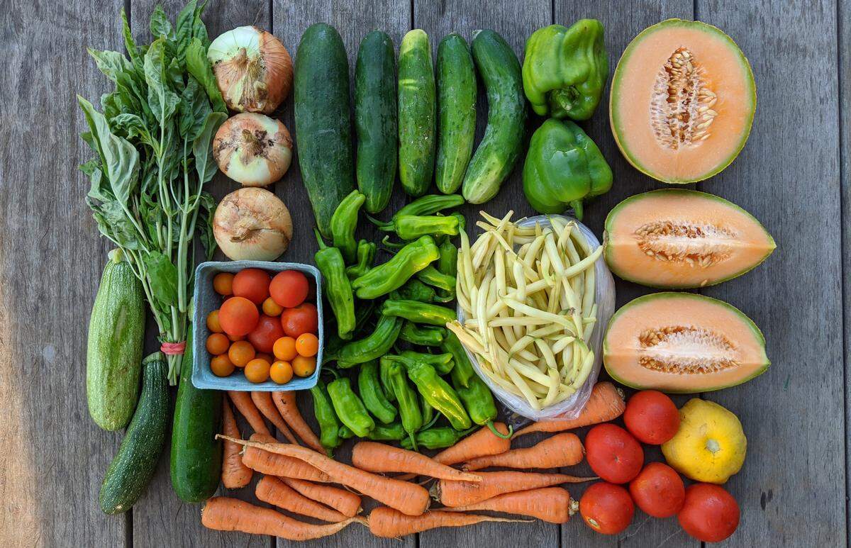 Get fresh, seasonal produce from local farms via a Community Supported Agriculture effort.
