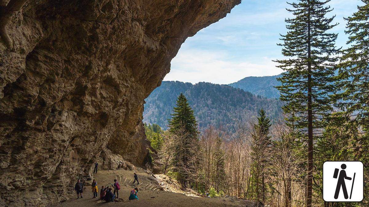 A woman died when she fell from a cliff on the Alum Cave Trail in Great Smoky Mountains National Park, NPS officials say.