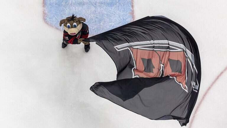 Why is the Carolina Hurricanes mascot a pig? Meet Stormy the Ice Hog