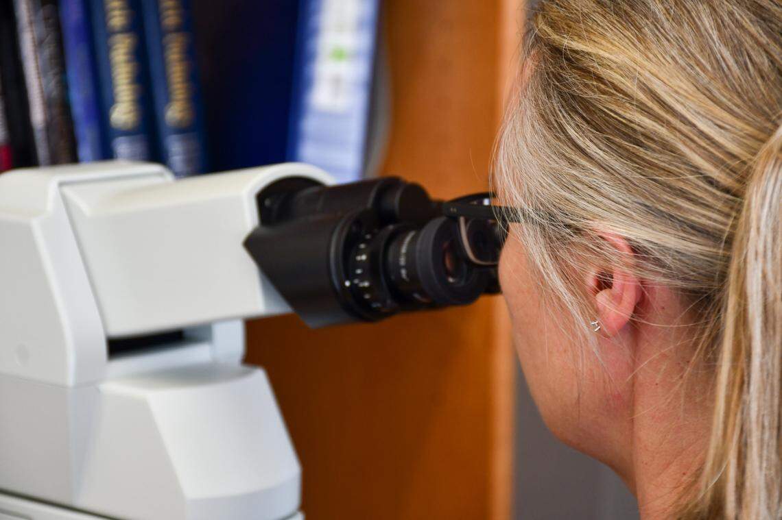 A staff member at the chief medical examiner’s office in Raleigh looks through a microscope to examine a specimen from a body.