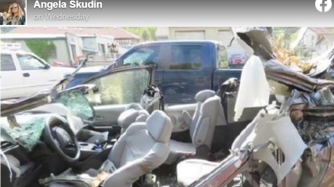 Court documents show the tree was held up by cables before the incident, media outlets report.