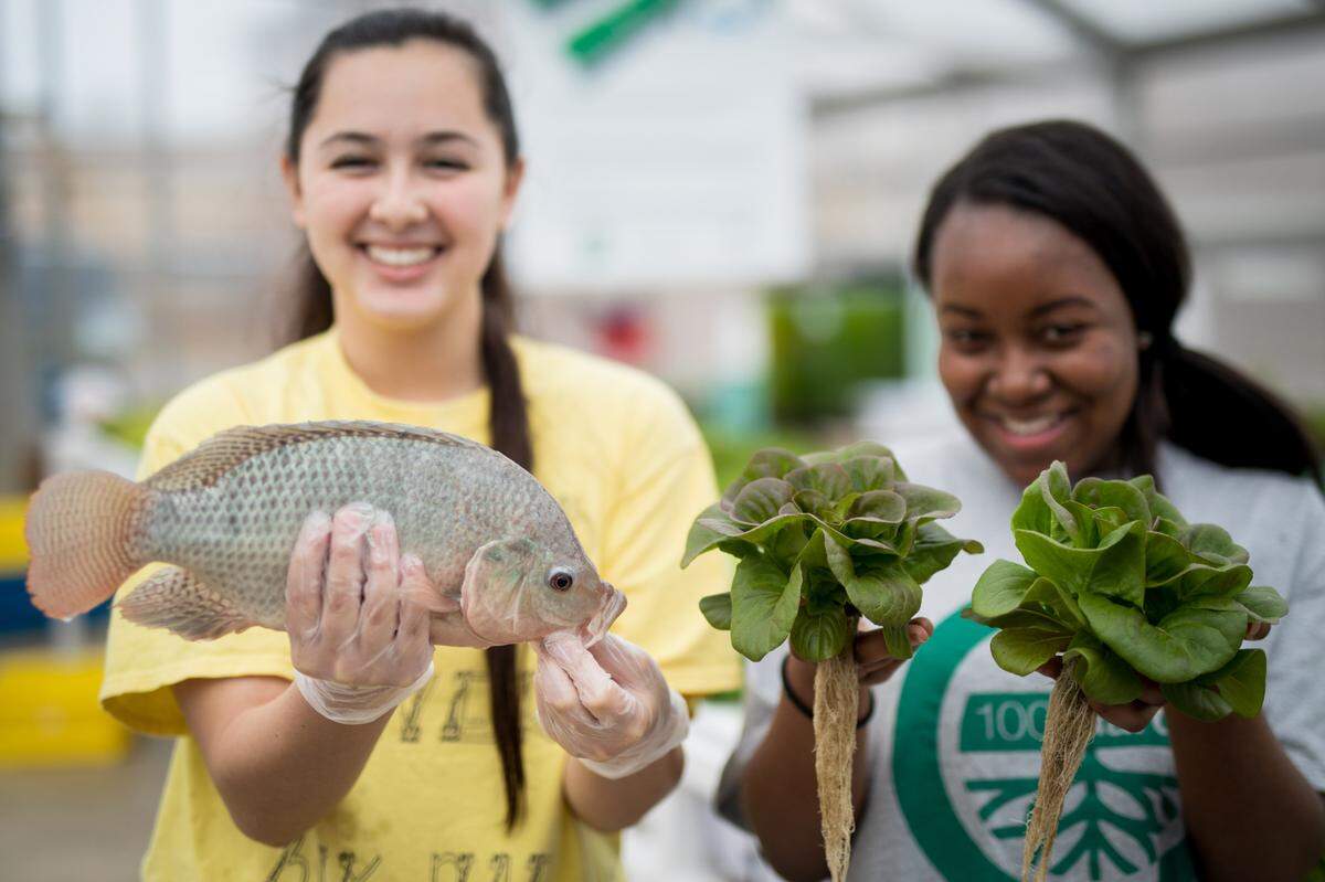 Support kids in STEM during the second leg of the Homegrown Tomato Festival.
