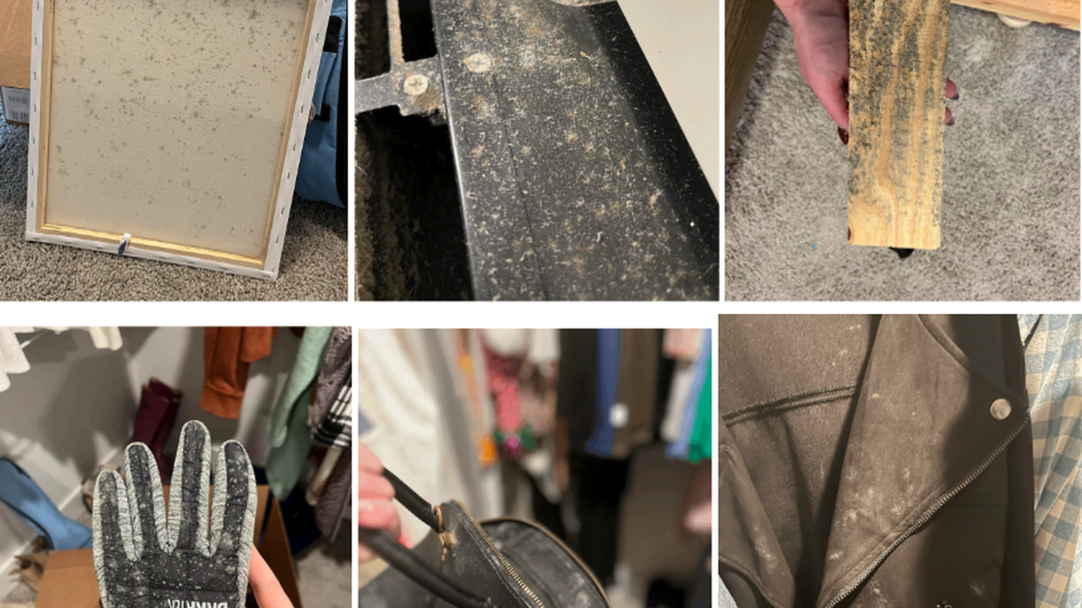 Brooke Davis said she lost nearly all of her belongings due to untreated mold in her apartment.