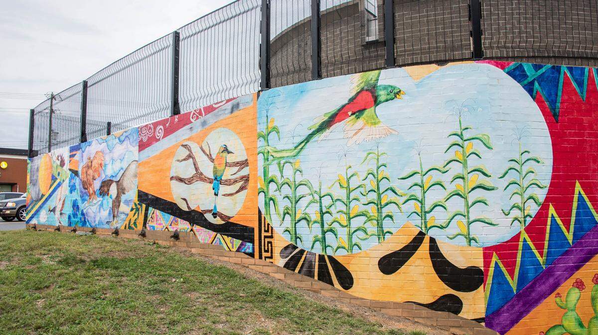 The newly unveiled Tapestry art mural on Monroe and Idlewood roads welcomes visitors to the East Charlotte neighborhood of MoRA.
