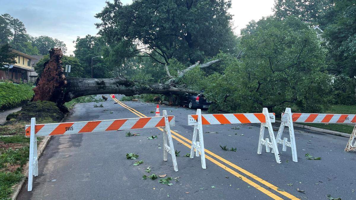 Storms with 60-mph gusts felled trees across Charlotte NC on Thursday night, July 7, 2022, including this massive tree in Freedom Park. 