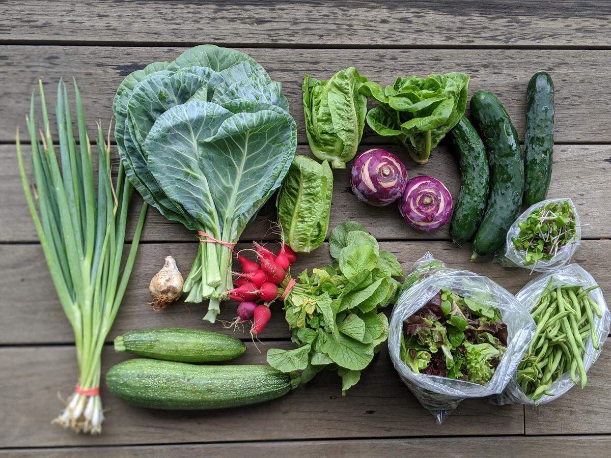 Wild Hope Farm’s fruits and vegetables CSA can be picked up at Myers Park Presbyterian Church Outreach Center, Harris YMCA, Matthews Farmers Market and Wild Hope Farm.