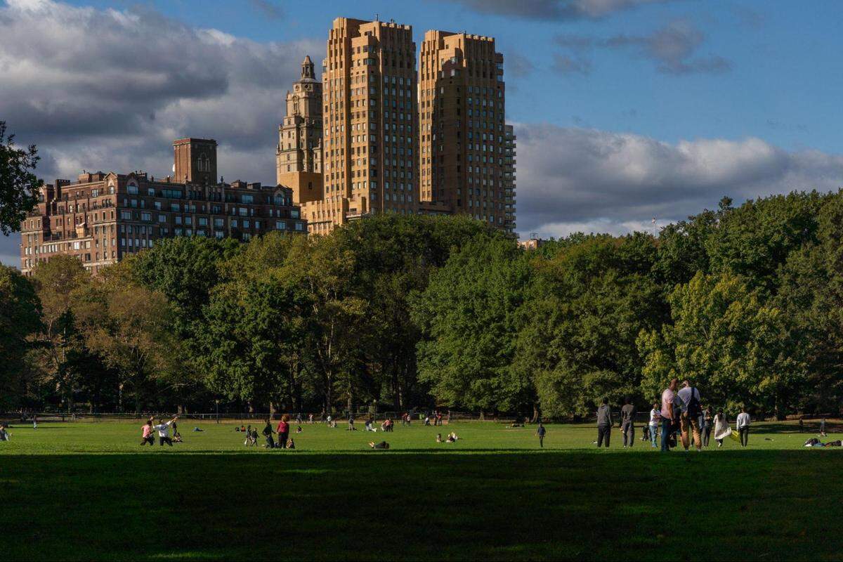 A panoramic view of a large, grassy field in Central Park on a sunny day. In the foreground, the grass is in shadow, while people are scattered across the sunlit middle ground, enjoying various activities like picnicking and playing. The field is bordered by a line of dense green trees. Above the trees, several tall, distinctively-styled buildings and skyscrapers with a brownish-orange color are visible against a partly cloudy blue sky.