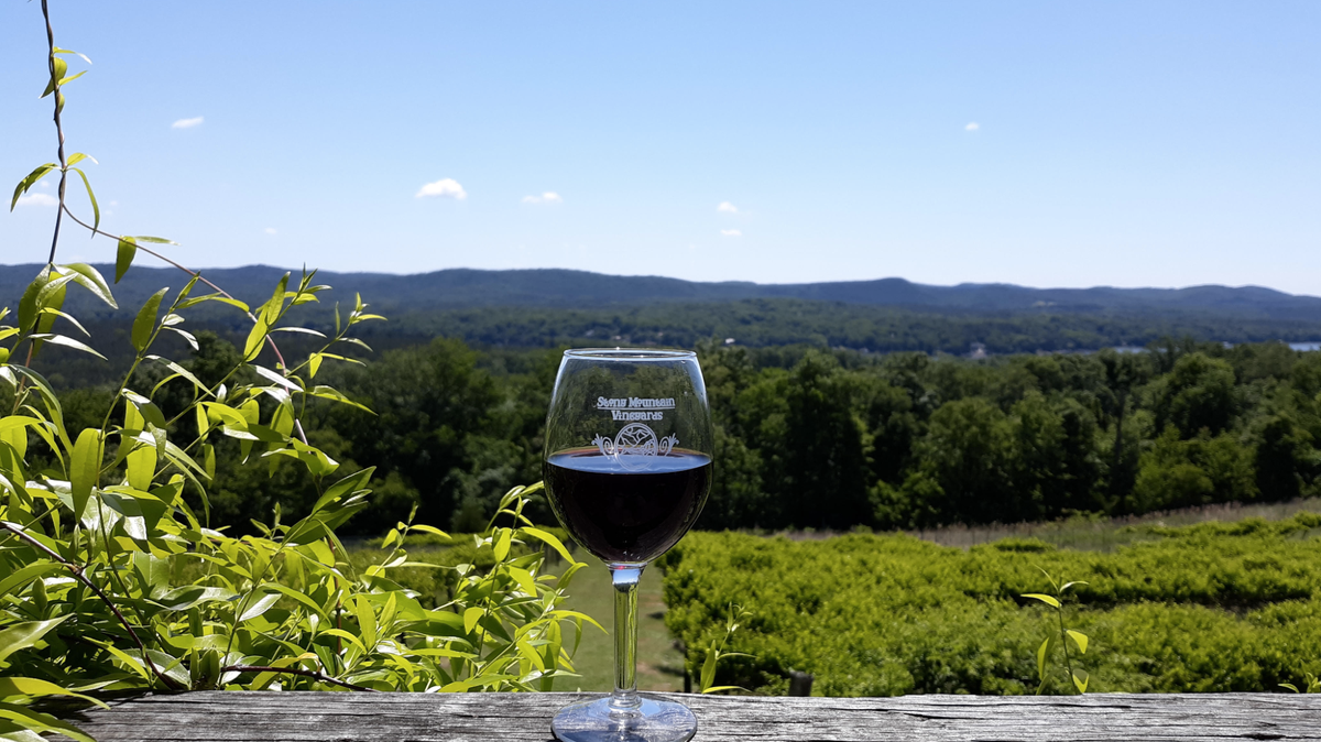 Just a short drive from Charlotte in Stanly County are vineyards and wineries including Stony Mountain Vineyards & Winery.