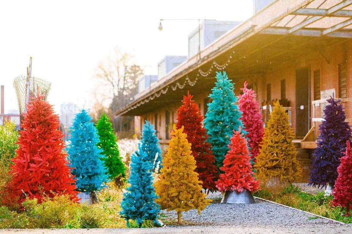 Seasonal decor will be set up around Camp North End for photo opportunities.