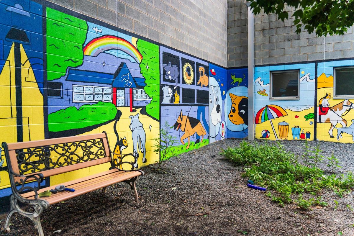 This is the outdoor area of the Animal shelter. It’s where people can play with a dog or cat outside before they choose to adopt them.