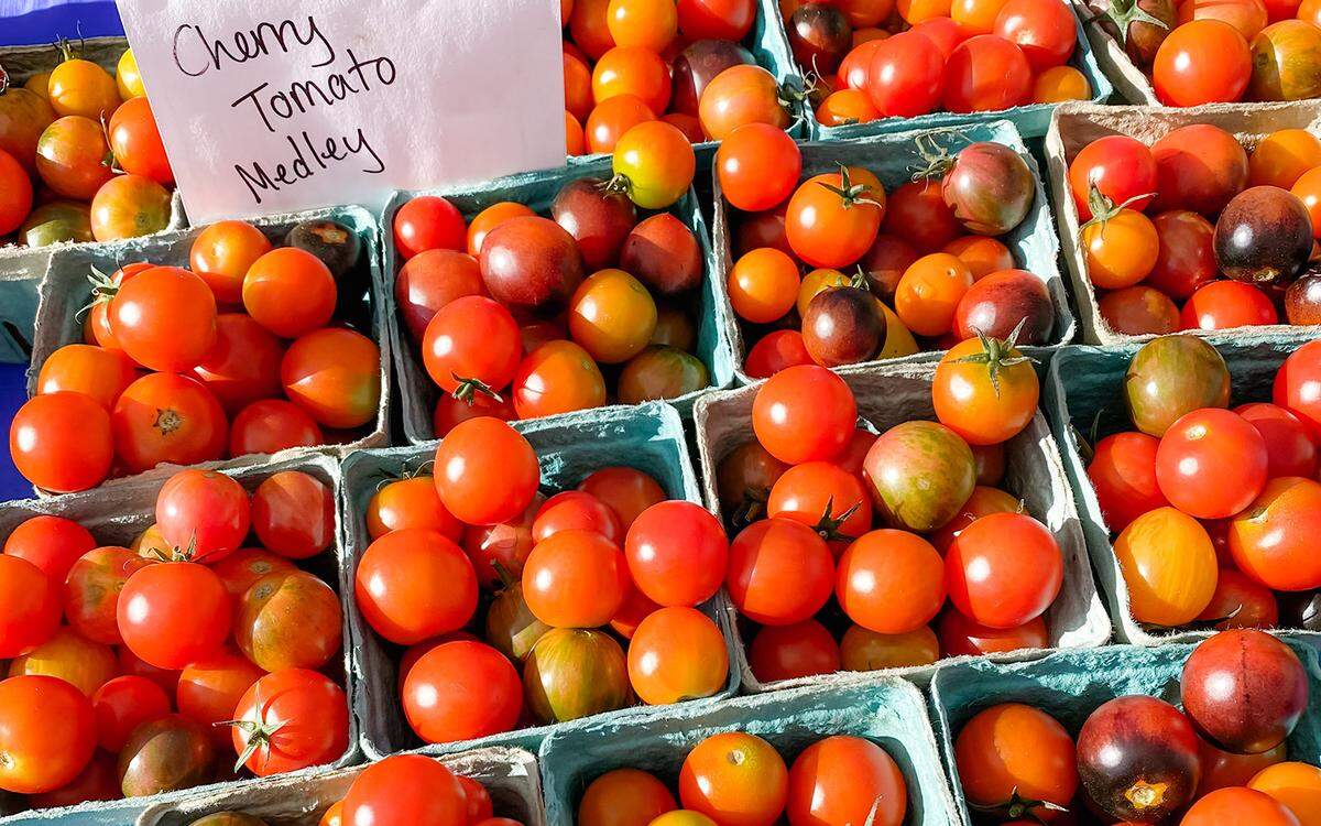 A close-up overhead shot of numerous light-blue cardboard baskets filled with a colorful variety of cherry tomatoes under bright sunlight. A small, handwritten sign in one basket reads, “Cherry Tomato Medley.”