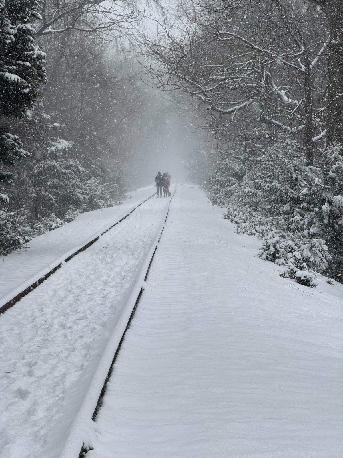 People walk down snow-covered train tracks in the NoDa neighborhood in Charlotte on Saturday, January 31, 2026.
