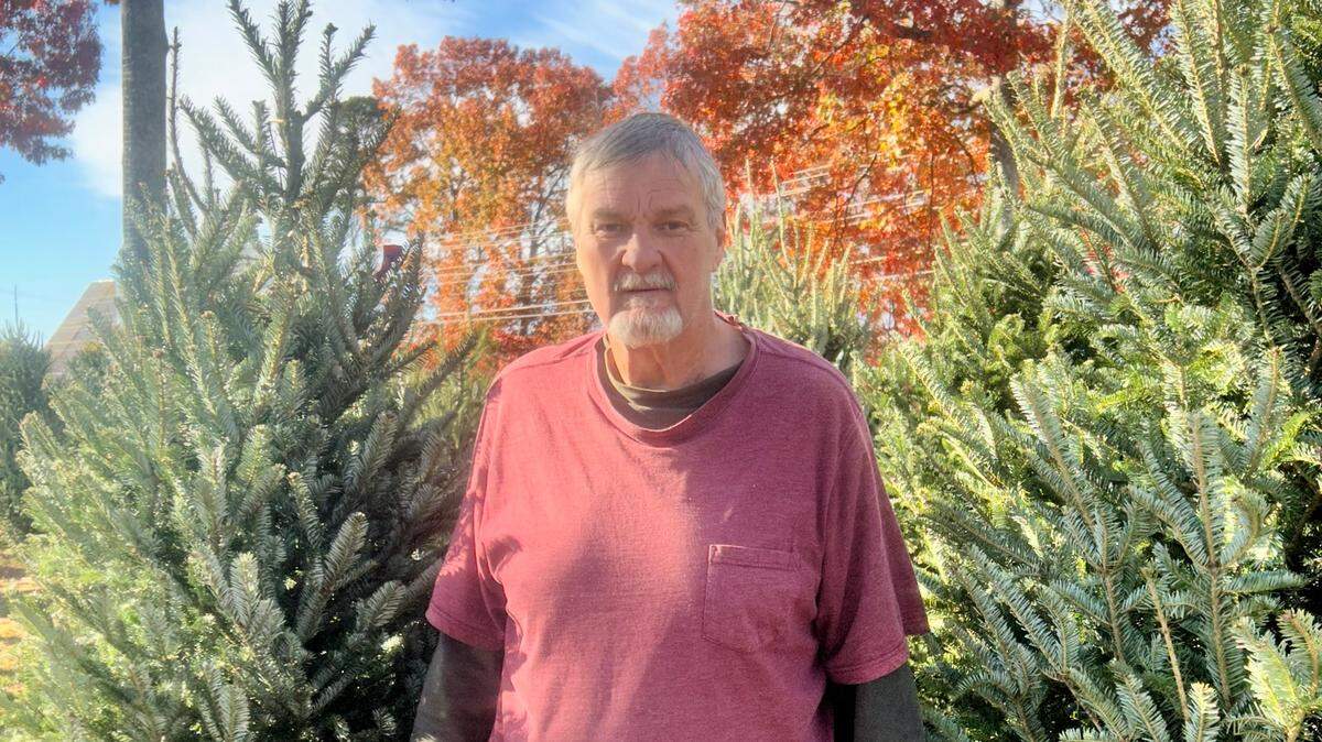 Former N.C. State basketball star Tommy Burleson stands in front of a couple of the trees he is selling at his Christmas tree lot at Lake Norman Baptist Church in Huntersville. Burleson lives in Avery County, but has relocated to the Lake Norman area this month to sell trees and donate his profits to hurricane relief. At 7-foot-2, he is taller than many of the trees he is selling.