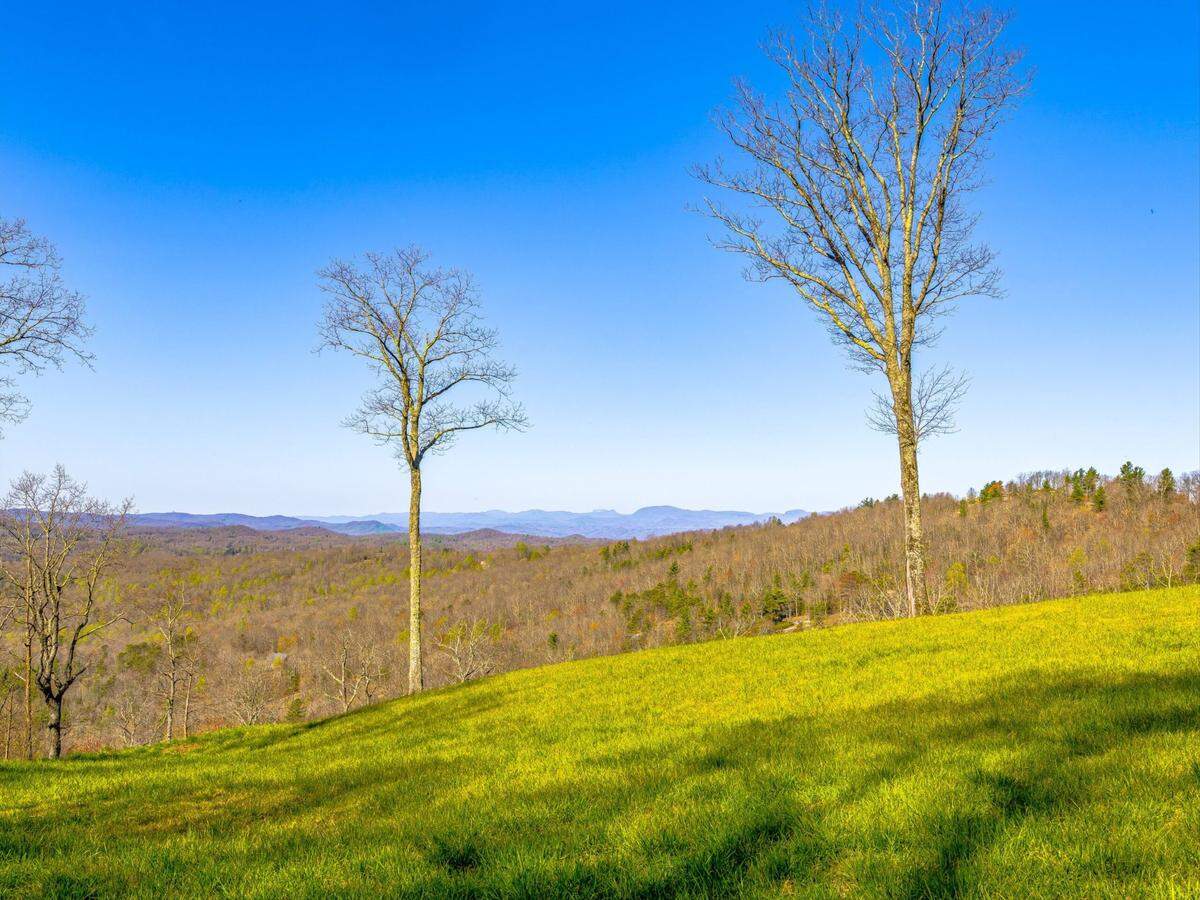 The Ridges of Steel Creek estate includes 40 acres of grasslands and pasteur.