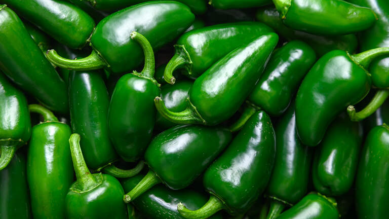 Recalled jalapeños linked to salmonella outbreak sicken 3 in NC. What we know