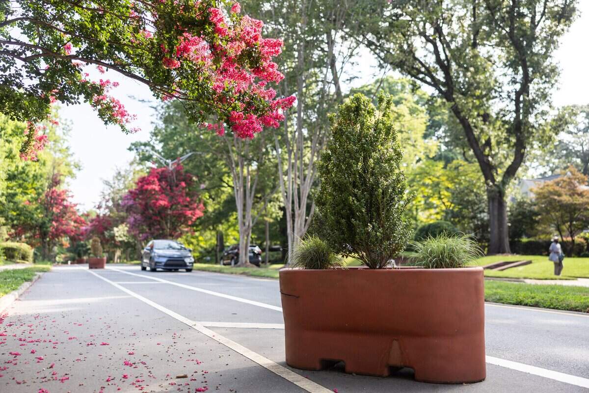 The planters along The Plaza in the Plaza Midwood neighborhood in Charlotte, N.C., on Tuesday, June 30, 2026.