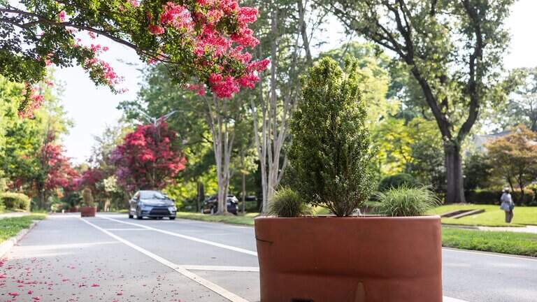 Cars keep smashing Plaza Midwood planters. Neighbors want Charlotte to pay