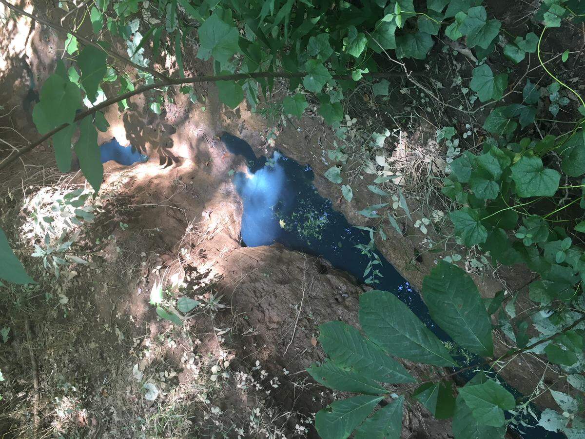 Mecklenburg County officials are investigating how thousands of gallons of blue portable-toilet waste reached a ditch that flows to Mallard Creek near PNC Music Pavilion.