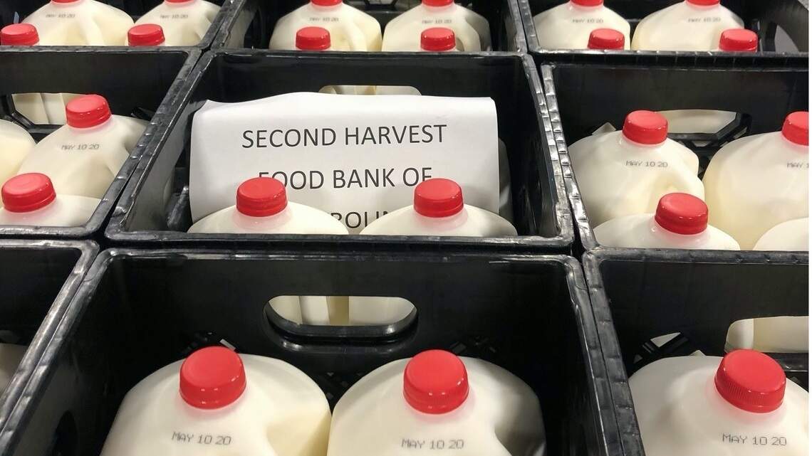 Charlotte grocery store update: New safety steps, beer delivery, help for farmers