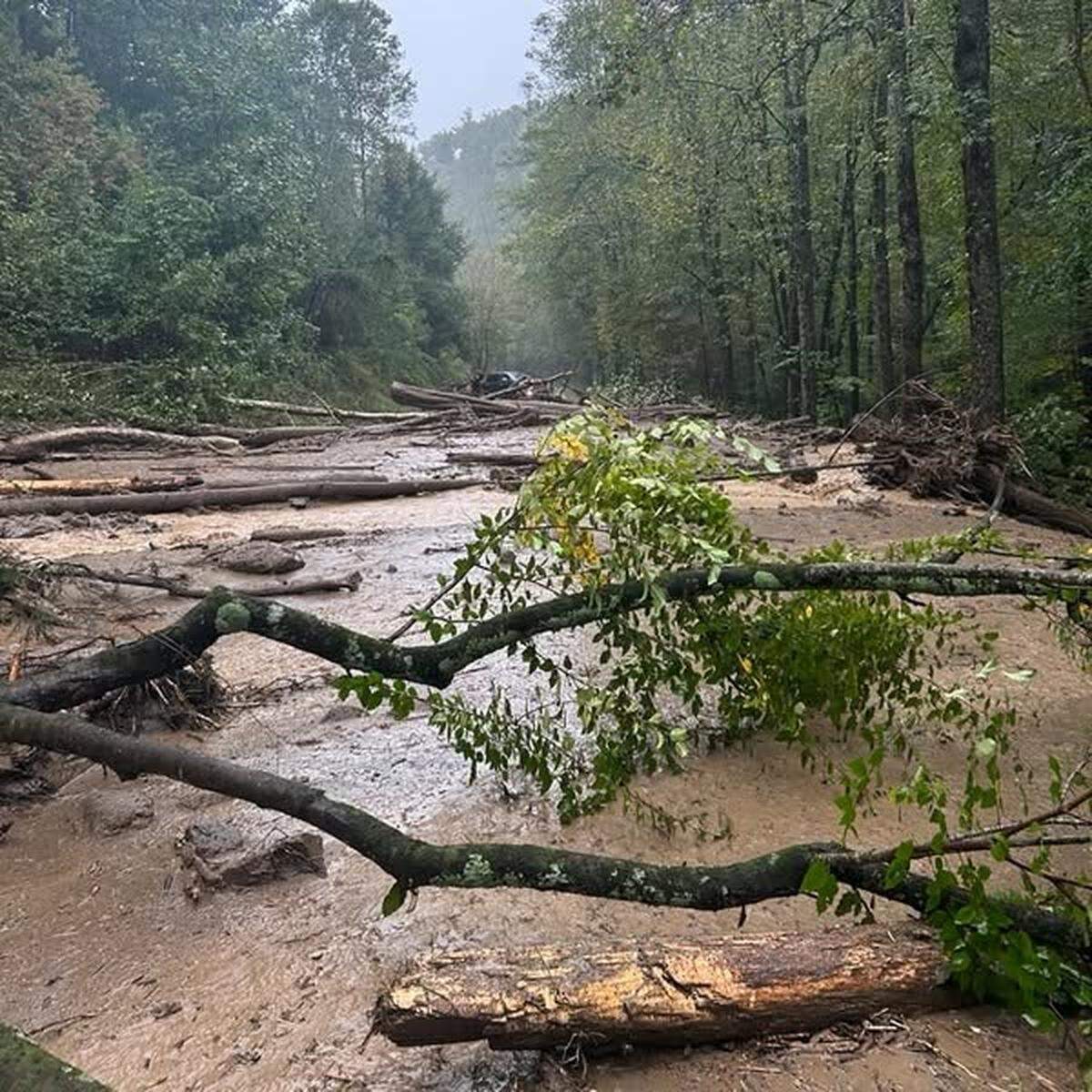 The Gatlinburg Bypass is closed until further notice due to a large landslide,” rangers in Great Smoky Mountains National Park said Saturday.  
