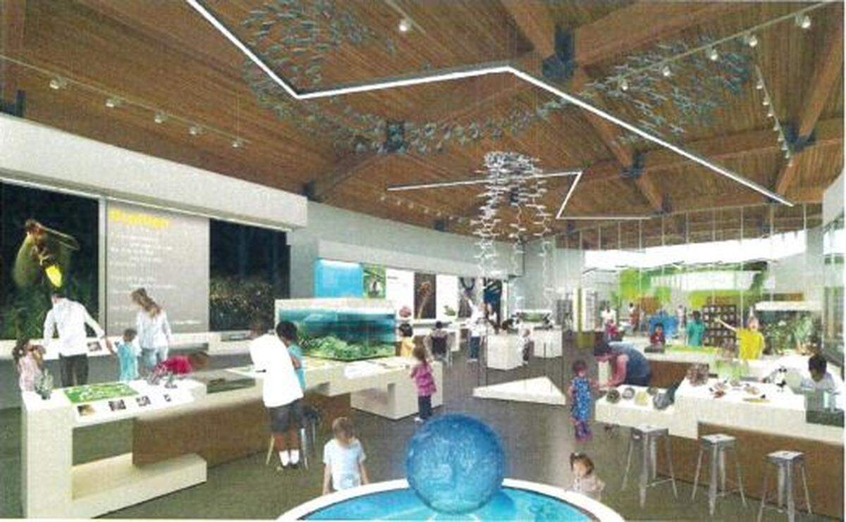 An artist’s rendering of an early plan for the new Discovery Place Nature museum.