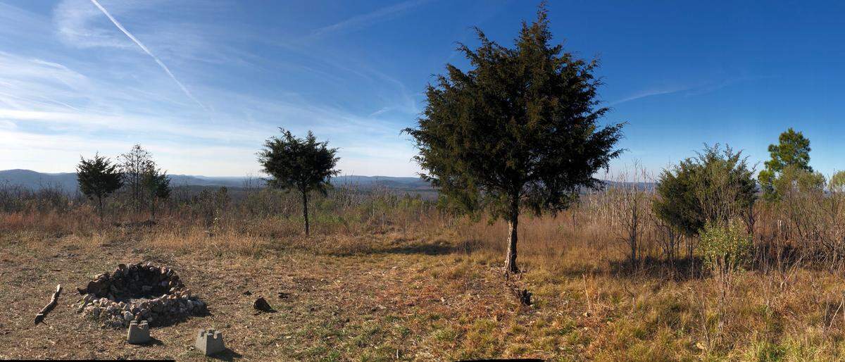 Uwharrie National Forest