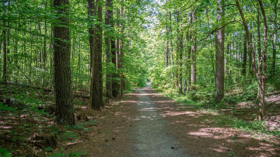 It can be helpful to limit screen time by learning a new skill or picking up a new hobby to deal with stress after the election. Here’s a hiking trail within Charlotte’s Ribbonwalk Nature Preserve.
