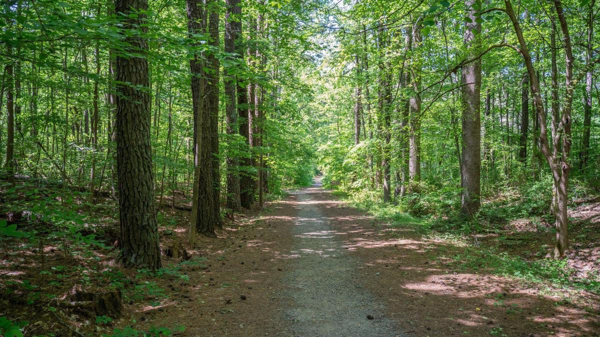 Ribbonwalk Nature Preserve has great trails for hiking.