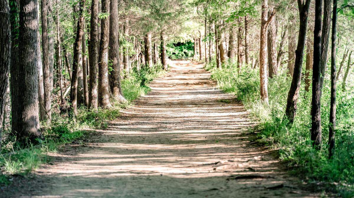 Anne Springs Close Greenway has a 36 mile trail system that guests can ride, hike and bike on.