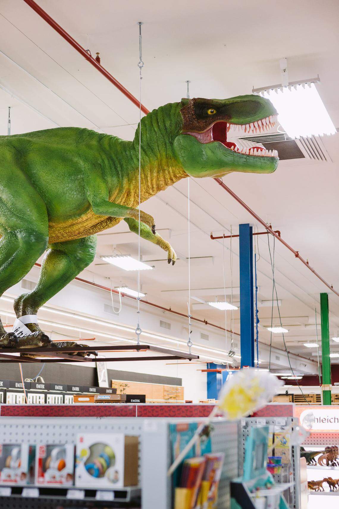 Schleich toymaker, which has named an 8 year old chief storytelling officer after a nationwide contest, has a 15-foot, 400 pound T-Rex suspended from the ceiling over the toy section at Blackhawk Hardware in Charlotte.