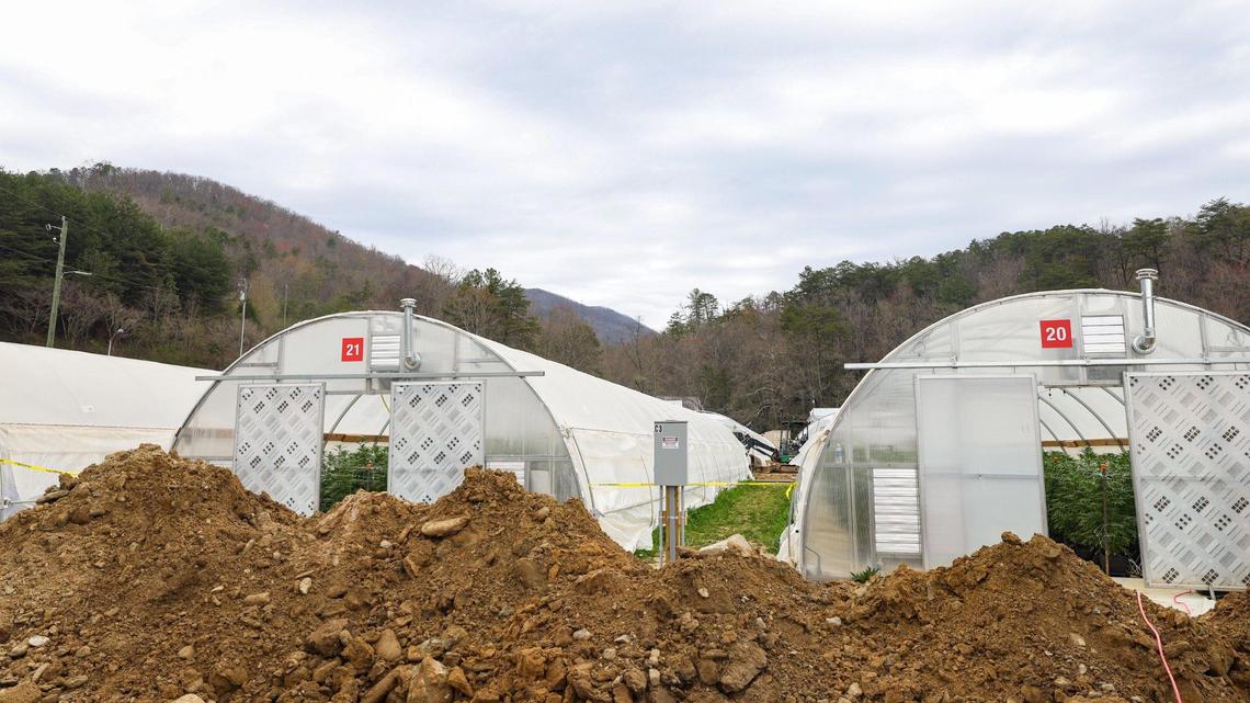 First and only medical marijuana dispensary in NC opens applications. Here are details.