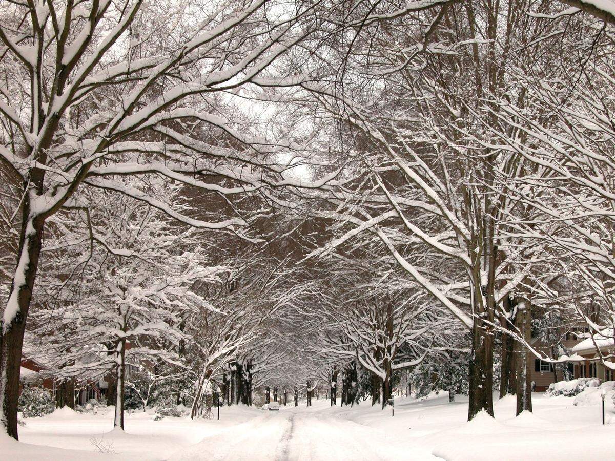 The view from Museum Drive in Charlotte at 9:11am in the morning on Feb. 27, 2004.