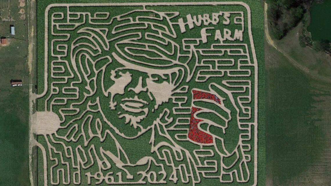 NC farm has one of the best corn mazes across the country, USA Today says