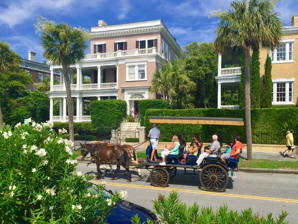 Take a carriage tour through the Holy City.