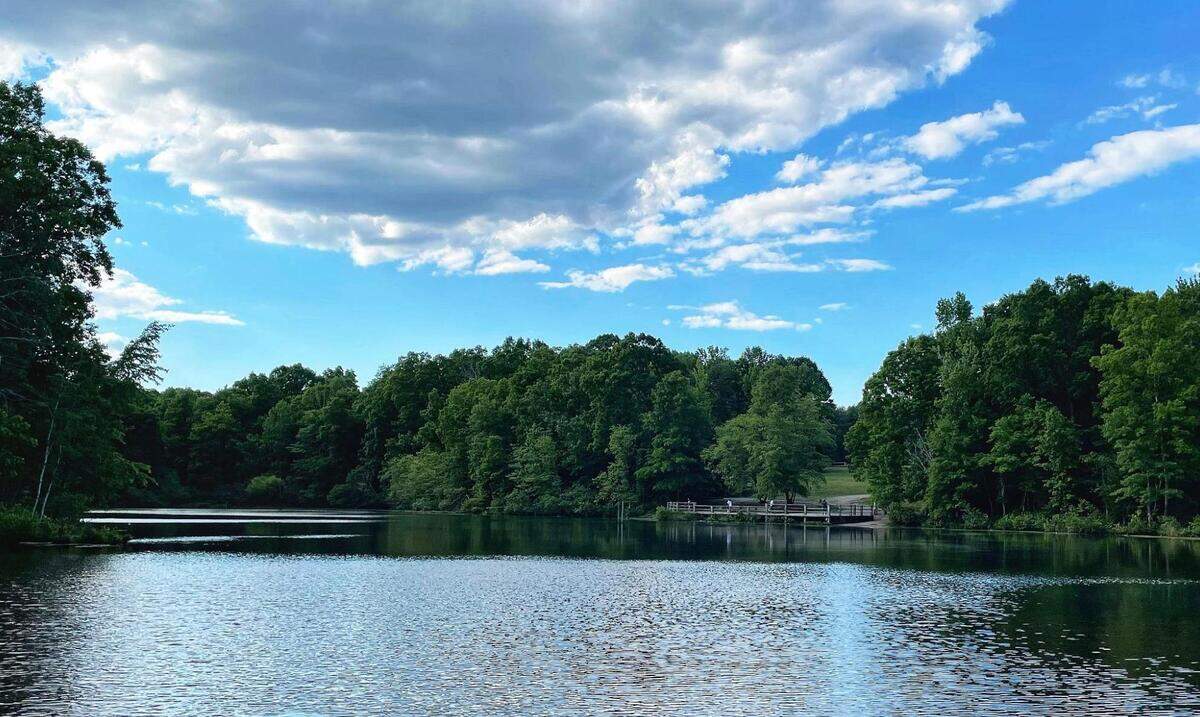 Reedy Creek Park has picnic spots with water views.