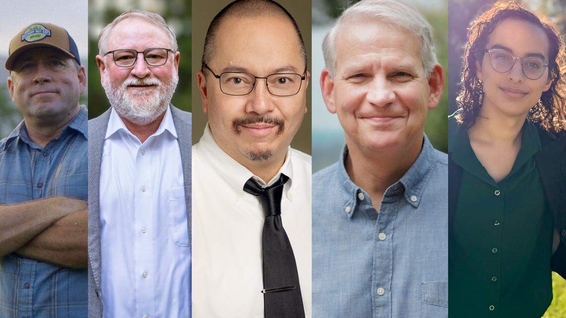 3 in WNC’s crowded 11th US House District race say Helene recovery is top priority