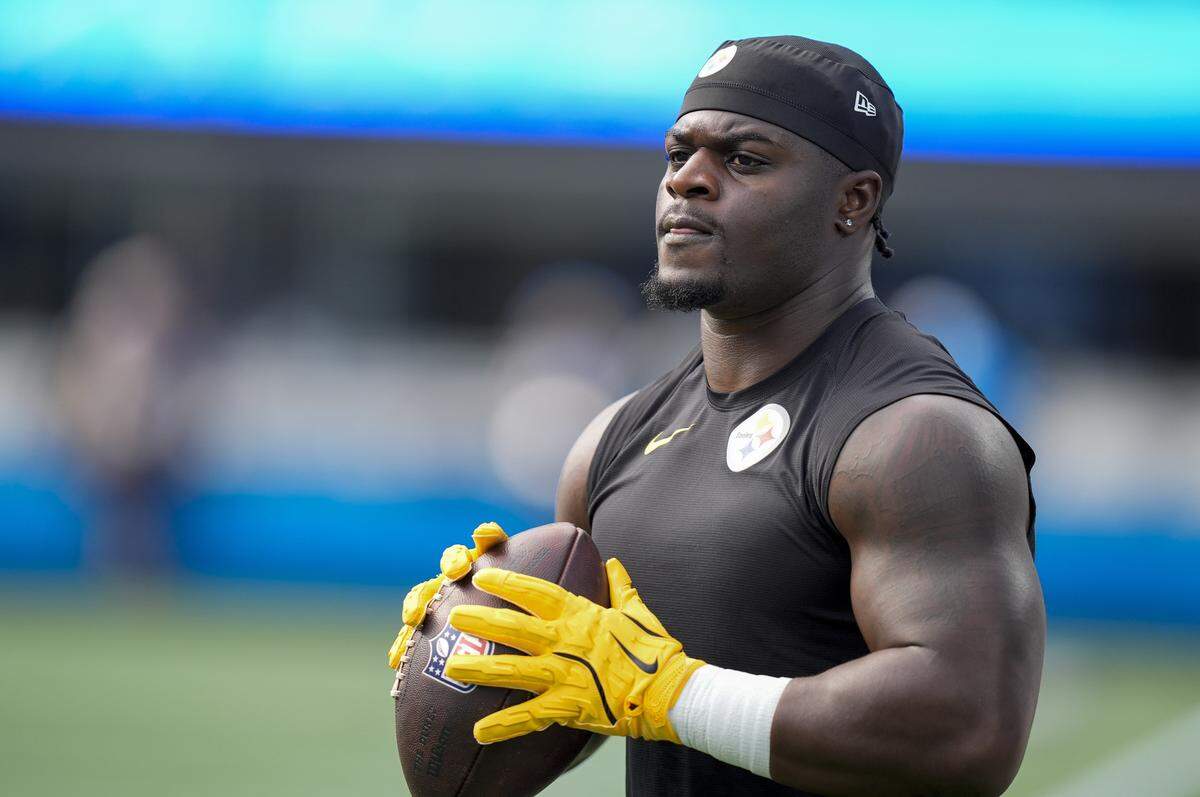 Pittsburgh Steelers linebacker Mark Robinson (93) during pregame warmups against the Carolina Panthers on Aug. 21.