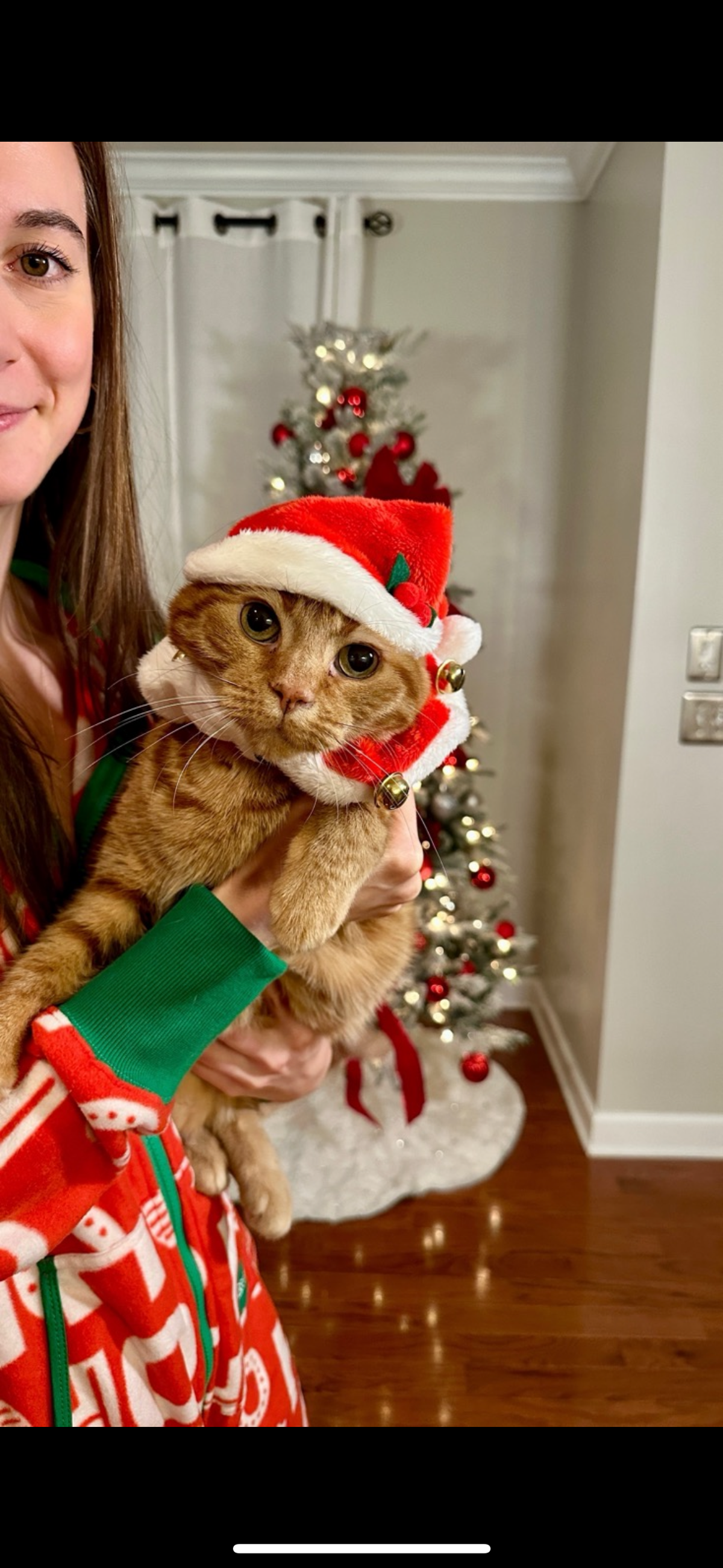 Lola was named a finalist in The Charlotte Observer’s “cutest cat in Charlotte” contest in fall 2024.