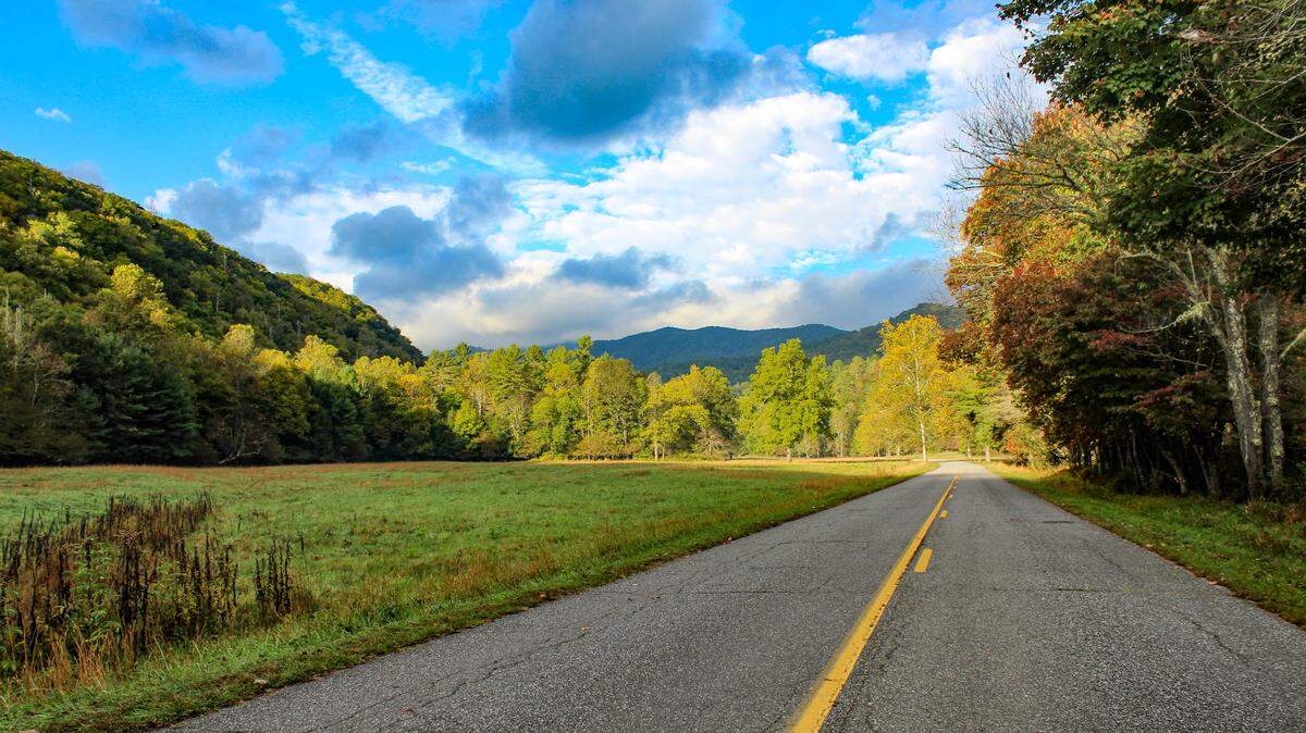 Fields in the Cataloochie area of Great Smoky Mountains National Park have been closed to tourist during elk breeding season, the park says. 