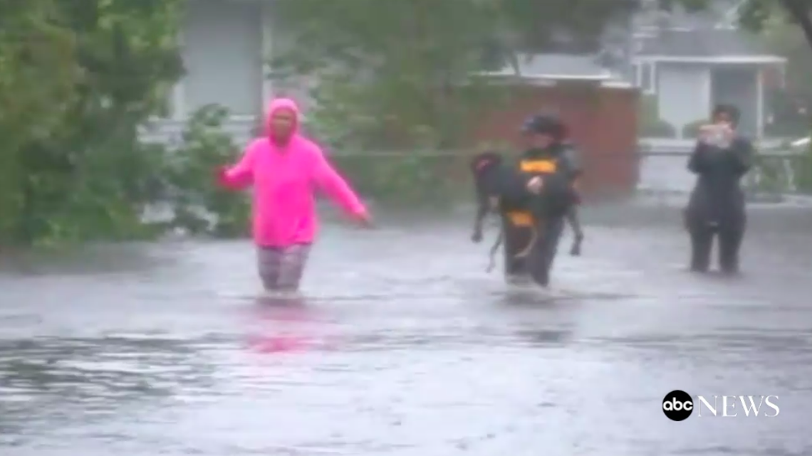 Julie Wilson, a reporter for WTVD, handed her phone off during a Facebook Live broadcast of Hurricane Florence in New Bern, North Carolina so she could rescue a therapy dog named Daisy from the floodwaters.