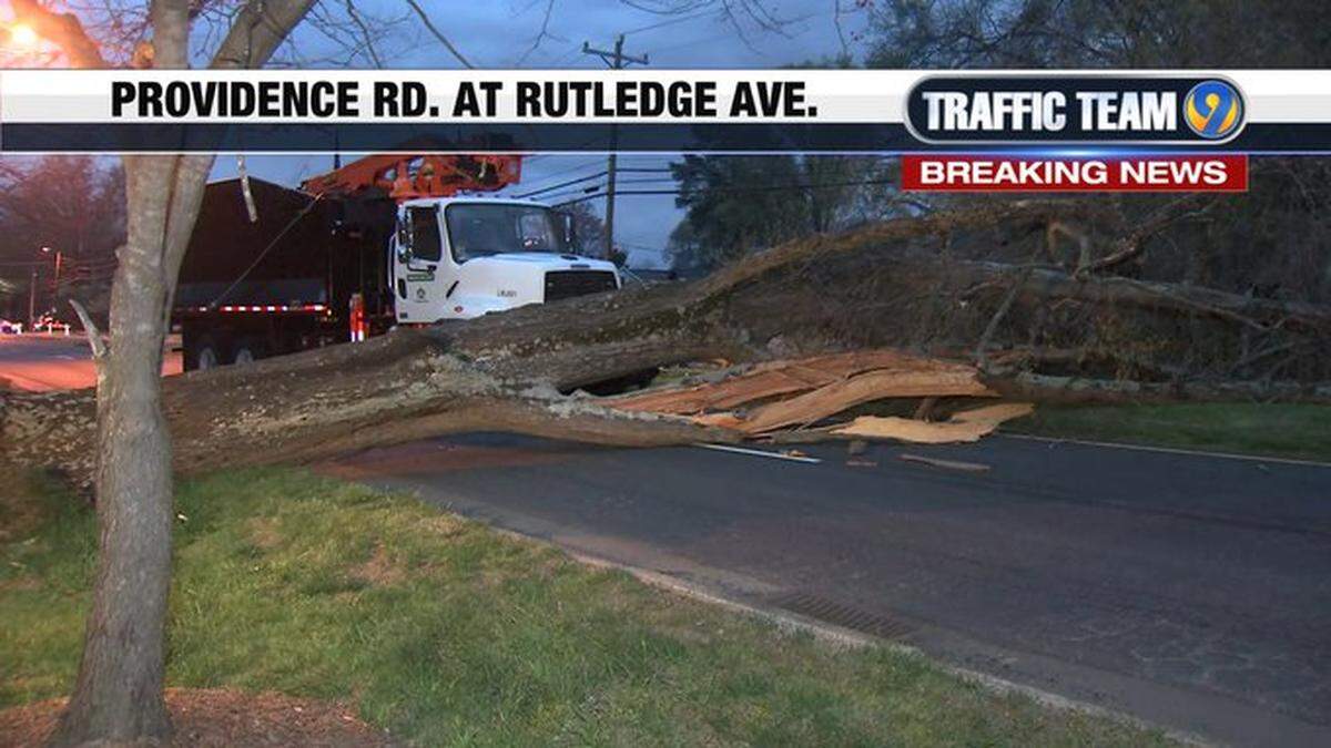 A downed tree blocks Providence Road at Rutledge Road, just south of Sharon Amity Road, as a city crew arrives to remove it on Thursday, March 31, 2022.